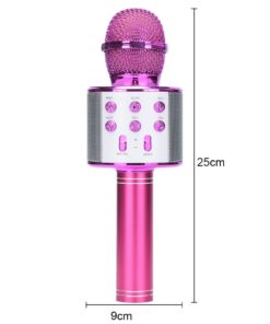 Bluetooth Karaoke Mikrofon Schweiz