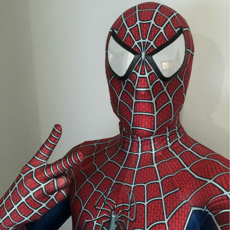 Spider-Man Anzug kaufen Schweiz