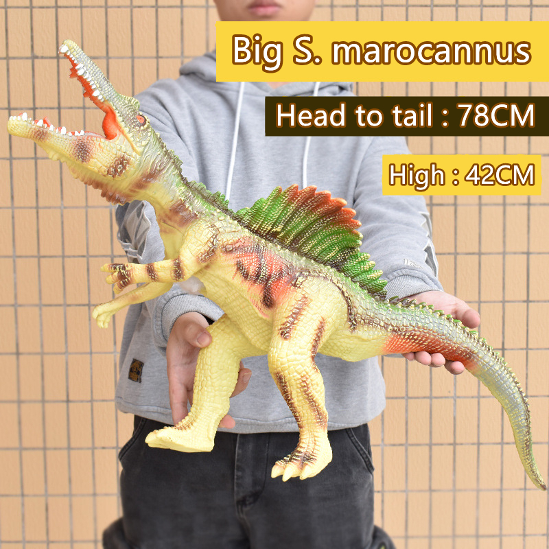 Big S. marocannus
